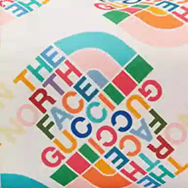 Gucci x The North Face