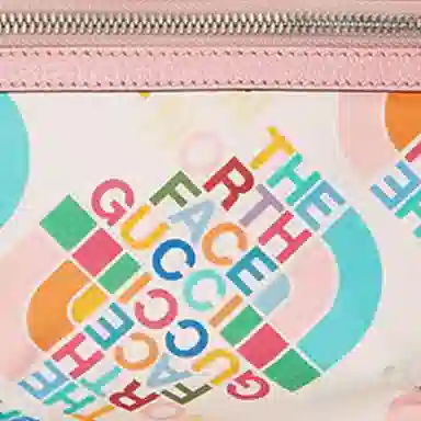 Gucci x The North Face