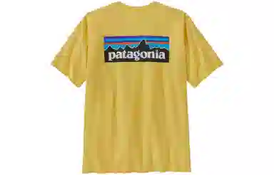 patagonia P-6Logo Responsibili LogoT