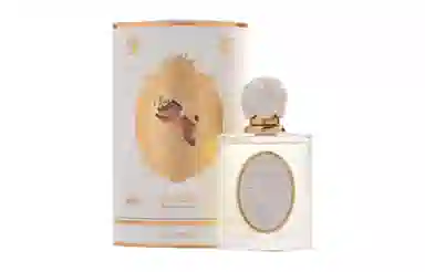 THE BEAST EDP 50ml