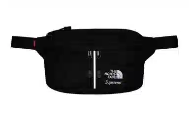 Supreme x THE NORTH FACE