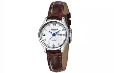 GUANQIN DS80007-AV.BBZ