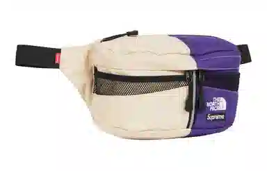 Supreme x THE NORTH FACE