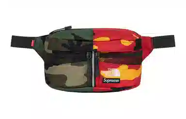 Supreme x THE NORTH FACE