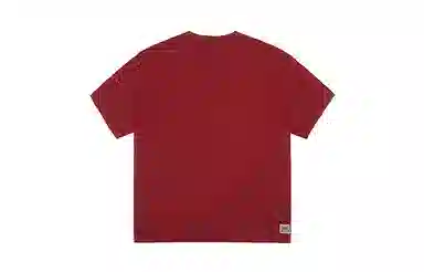 Vision Street Wear BOX logo SS24T