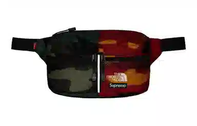 Supreme x THE NORTH FACE