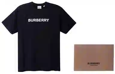 Burberry SS22 LogoT