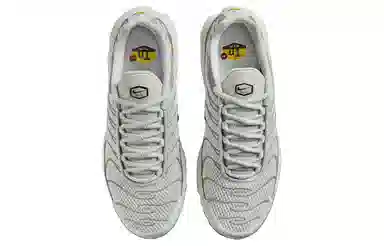Nike Air Max Plus Grey
