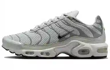 Nike Air Max Plus Grey