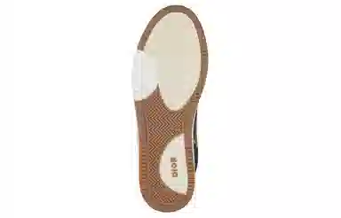DIOR B27 Oblique