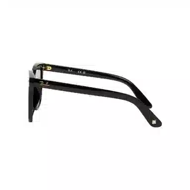 RayBan Logo