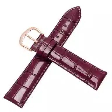 万晨 手表表带 亮光表带真皮针扣适用格雅卡梭飞亚达铁达时美度亮漆皮表带链 头层牛皮白色 紫色 红色 黑色 手表改装通用款