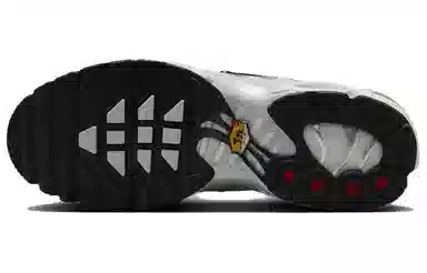 Nike Air Max Plus Grey