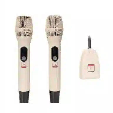 PEAVEY () P1-100W2 12