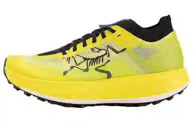 Arcteryx SYLAN PRO