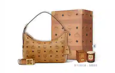 MCM Aren Visetos Hobo