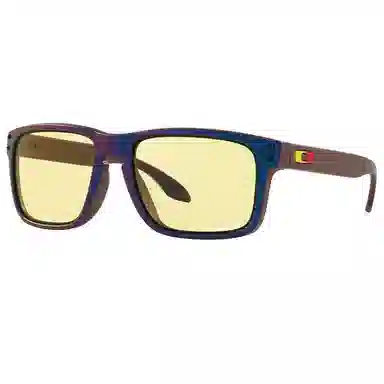 Oakley Holbrook A Prizm