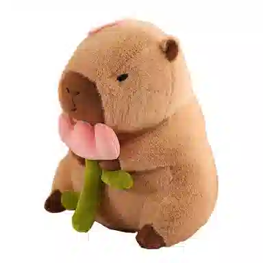 30cm40cm