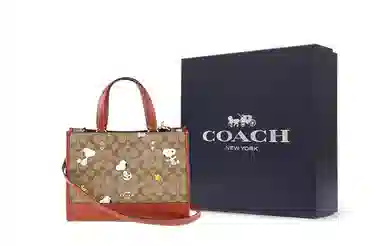 COACH x Peanuts Snoopy Dempsey 30 Tote