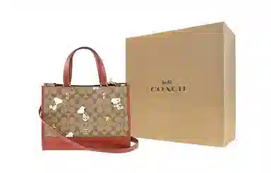 COACH x Peanuts Snoopy Dempsey 30 Tote