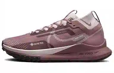 Nike Pegasus Trail 4 GTX