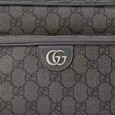 GUCCI Ophidia G