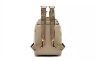 Champion Backpack