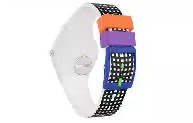 SWATCH ORIGINALS 30 34mm GW197