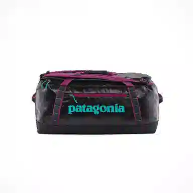 patagonia 70L Logo