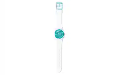 Swatch GW215