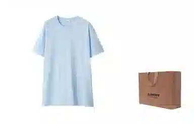 Burberry SS24 T