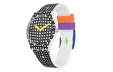 SWATCH ORIGINALS 30 34mm GW197