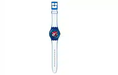SWATCH 41mm SUON112