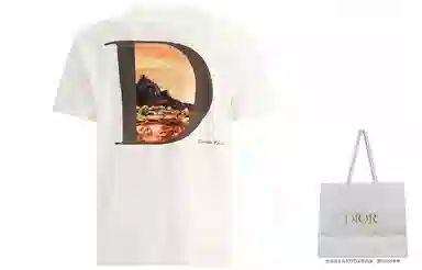 DIOR T