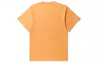 Carhartt WIP SS23 LogoT