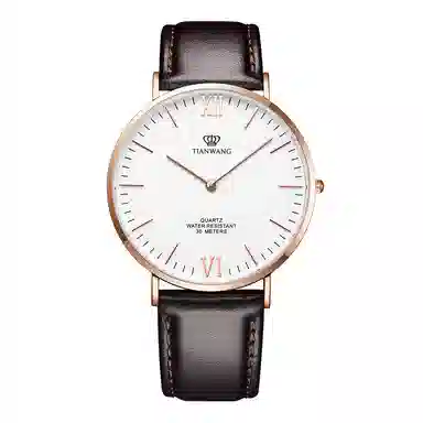 TIANWANGTWINKLE GS3851