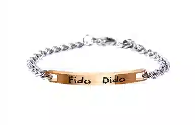 FIDO DIDO HAVE FUN ins