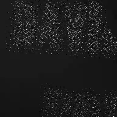 DAVID NAMAN SS24 logoT