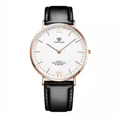 TIANWANGTWINKLE GS3851