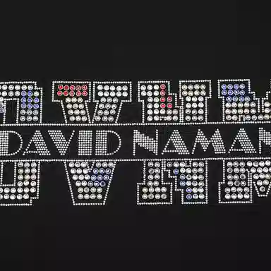 DAVID NAMAN logoT