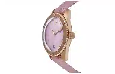 Oris 0173377713158-0731904BRS