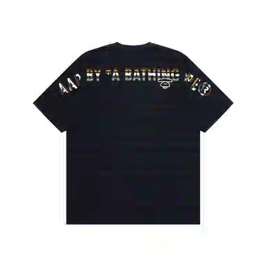 Aape T