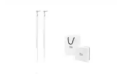 饰伴 流苏小众设计感气质长款 耳环 女款