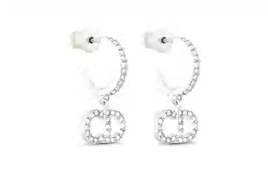 Dior Earrings Silver