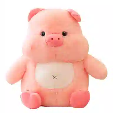 25cm35cm45cm