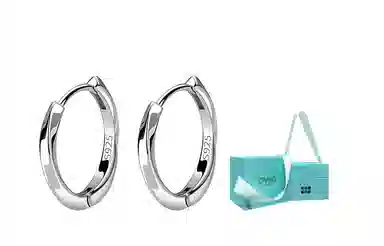 OWO Mobius 925 Silver Earrings