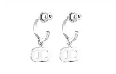 Dior Earrings Silver