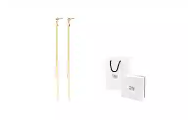 饰伴 流苏小众设计感气质长款 耳环 女款