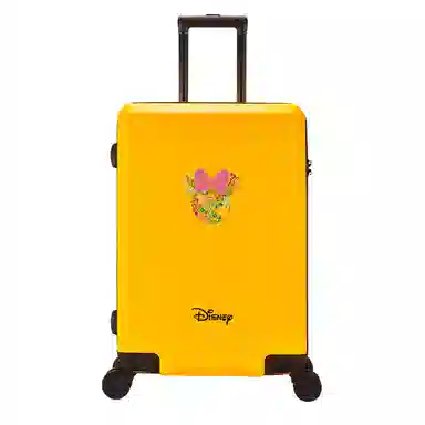 MESUCA ABS+PC 20242622