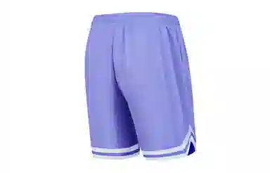 乔丹 美式网眼速干宽松五分篮球裤 男款 佩斯利紫